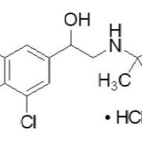 21898-19-1/	 盐克仑特罗 ,	分析标准品,1000μg/ml in methanol