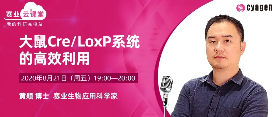 大鼠Cre/LoxP系统的高效利用—免费听课