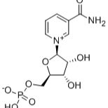 1094-61-7/β-烟酰胺单核苷酸 ,95%