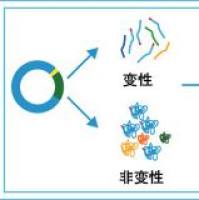 Ni-NTA 纯化树脂 (Ni-NTA Resin)