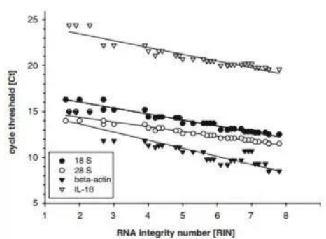 准备一份好的核酸模板，真的非常有必要  