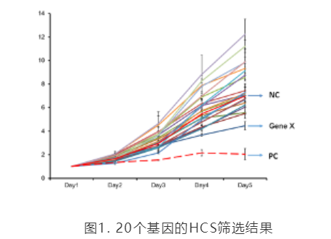 组学做完后，如何选择基因进行深入研究？