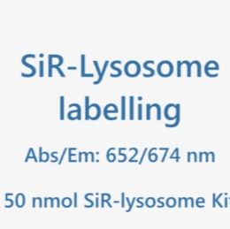SiR-lysosome kit