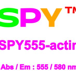 SPY555 活细胞肌动蛋白荧光染剂