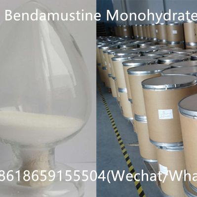 盐酸苯达莫司汀一水合物（Bendamustine Hydrochloride Monohydrate）