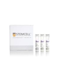 EasySep™非人灵长类T细胞分选试剂盒