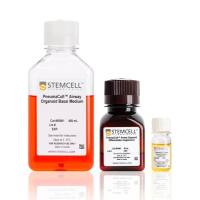 PneumaCult™呼吸道类器官培养基