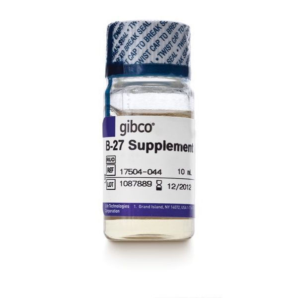  B-27™ Supplement (50X), minus vitamin A