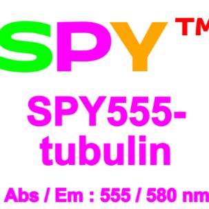 SPY555-微管蛋白荧光染剂
