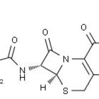 70356-03-5/ 头孢克洛单水物 , ≥98%