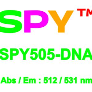 SPY505-DNA活细胞荧光染剂