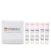 RosetteSep™人ILC2富集试剂盒