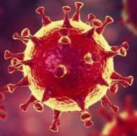 德国MEDIAGNOST公司产品线