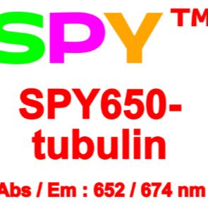 SPY650-tubulin荧光染剂