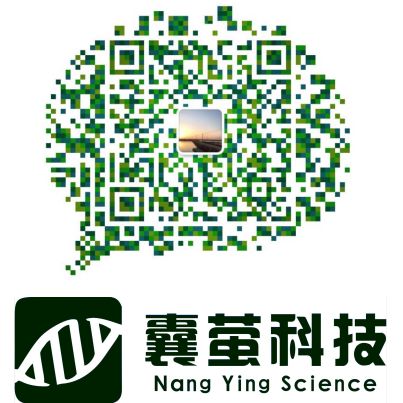 NanoLink Streptavidin Magnetic Beads (10 mg/mL)