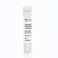 ImmunoCult™人CD3/CD28/CD2 T细胞激活剂