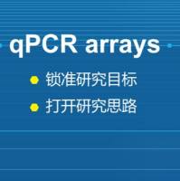 定制miRNA表达量检测阵列