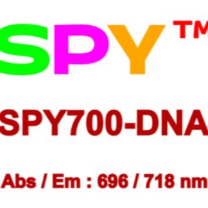 SPY700 远红外DNA荧光染剂