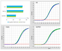 6min Fast 1st cDNA Synthesis Kit