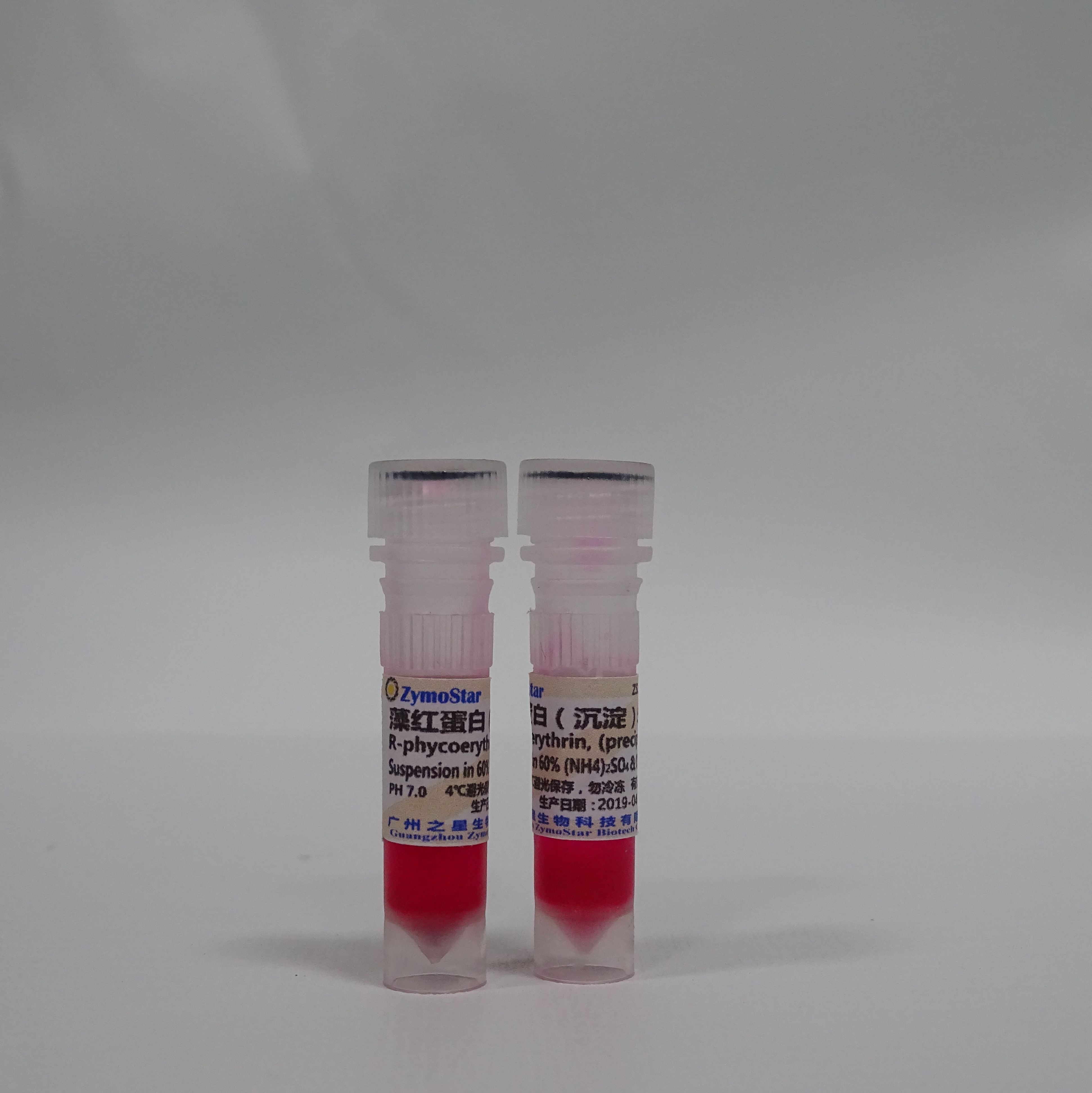 藻红蛋白（沉淀） R-PE 5 mg