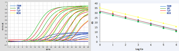 2×RAPA3G Multiplex PCR Mix