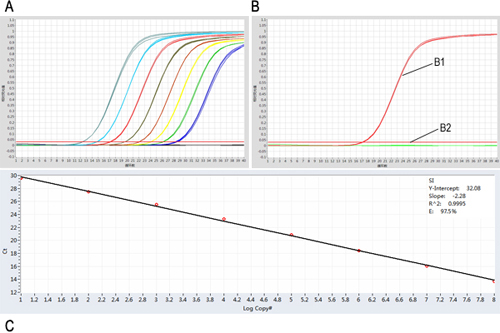 冻干Fast DNA TaqMan PCR Reagent(UNG)