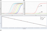冻干Fast DNA TaqMan PCR Reagent(UNG)