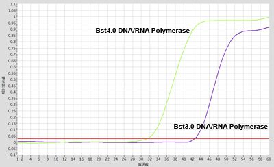 Bst4.0 DNA/RNA Polymerase