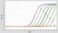 冻干Fast DNA TaqMan PCR Reagent