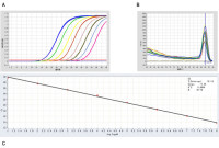 5×Fast SYBR Green qPCR Mix