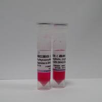 藻红蛋白（晶体） R-PE 5 mg