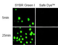 6XSafe Dye Loading Buffer