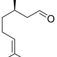 2385-77-5/ (+)-香茅醛, 88%(GC)