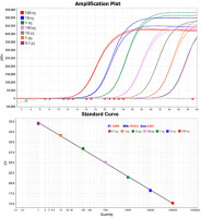 2×RAPA3G SYBR Green qPCR Mix