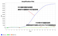 转基因作物检测试剂盒（CaMV35S/TNOS）