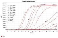 鼠疫核酸检测试剂盒（恒温LAMP-TaqMan荧光法）