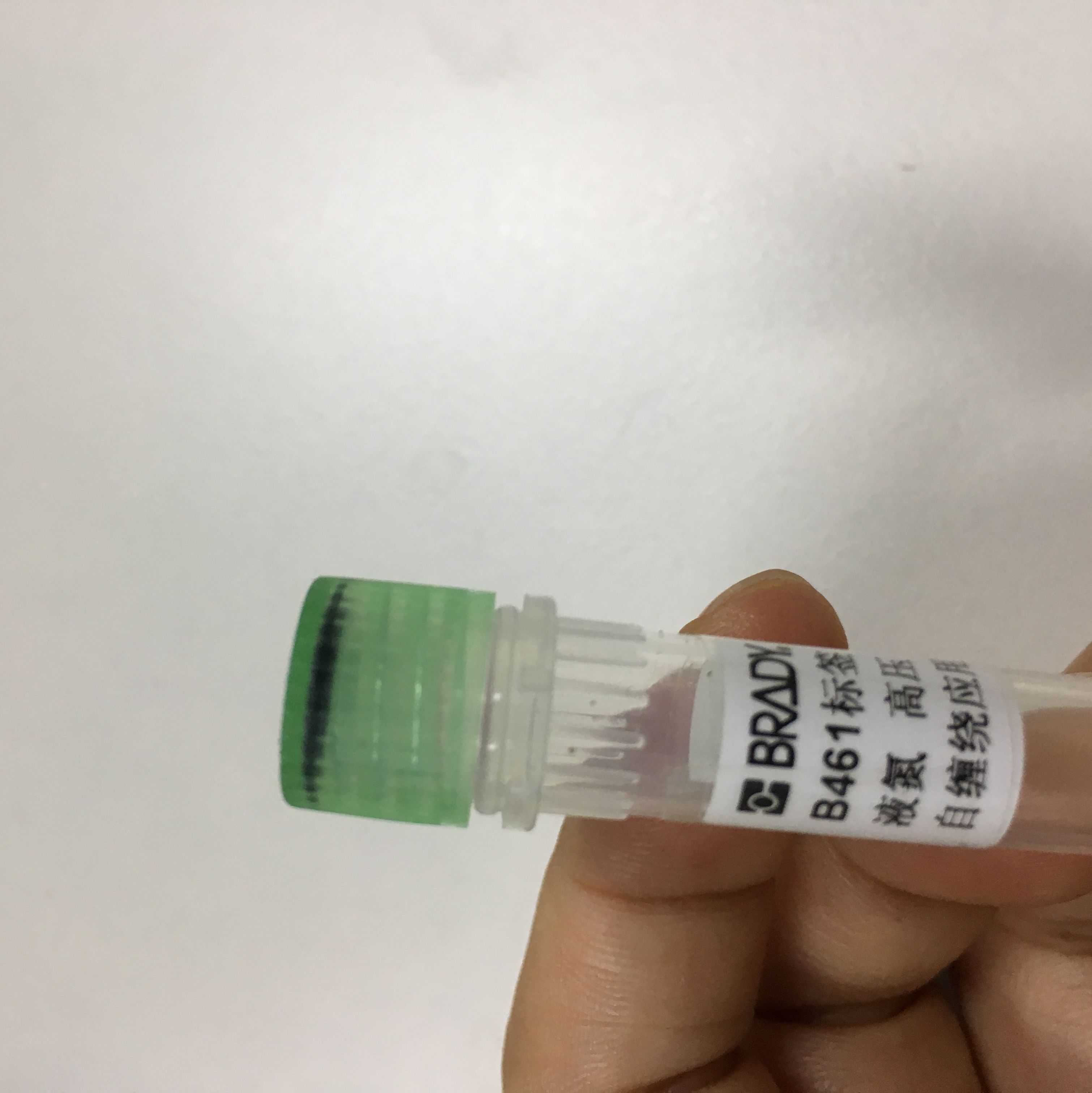 贝迪B-461实验室液氮霜冻标签