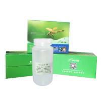 0.1M Sodium Pyruvate Solution