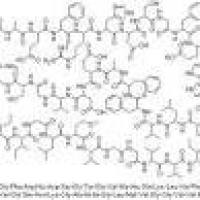 107761-42-2/	 β-淀粉样多肽 1-42 ,	≥95%