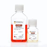 mTeSR™1,cGMP级别的hPSC维持培养基