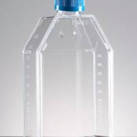 Corning® BioCoat™ Poly-D-Lysine 75cm² Rectangular Canted Neck Cell Culture Flask with Vented  Cap