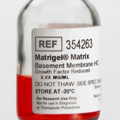 Corning® Matrigel® Matrix High Concentration (HC), Growth Factor Reduced (GFR) *LDEV-Free, 10mL