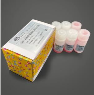 CCK-8细胞增殖检测试剂盒