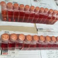 L-WRN 小鼠皮下结缔组织细胞/种属鉴定/镜像绮点（Cellverse）