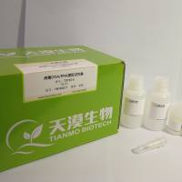 病毒 DNA/RNA 提取试剂盒