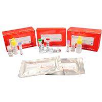 Duolink(R) In Situ Red Starter Kit Mouse/Rabbit