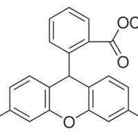 109244-58-8/	 二氢罗丹明123 ,	95%