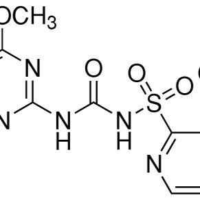 111991-09-4/ 烟嘧磺隆,分析标准品,100μg/ml in methanol