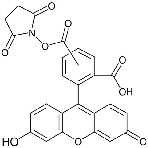 117548-22-8/	 5(6)-羧基荧光素琥珀酰亚胺酯,	96%
