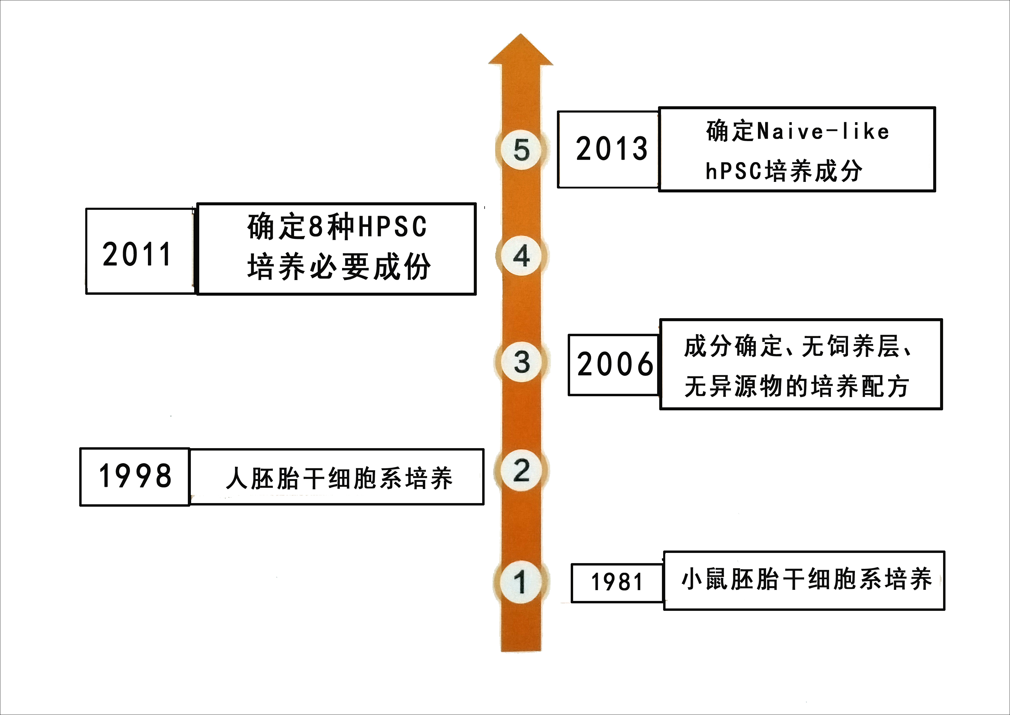 产品细节图片1